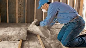 Best Insulation Replacement  in Johnston, SC